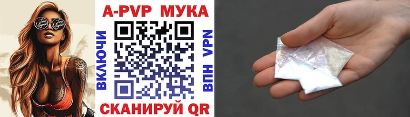 omg как зайти  дарнет шоп  Бологое  Alpha PVP крисы CK 