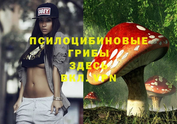 эйфоретик Арсеньев