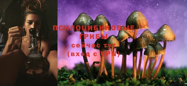 марки lsd Армянск