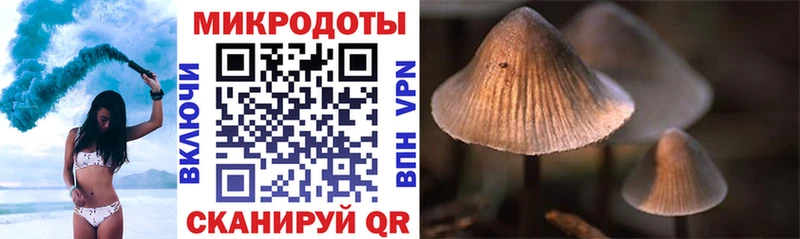 Псилоцибиновые грибы прущие грибы где купить наркоту blacksprut маркетплейс Бологое